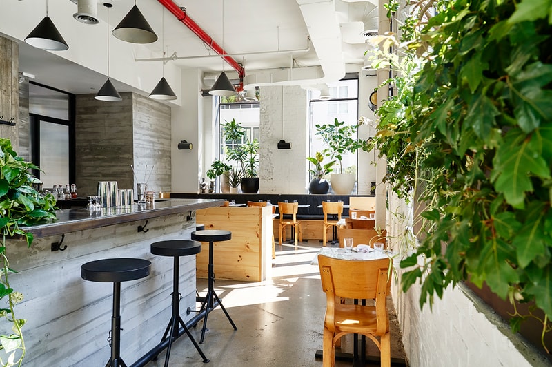 1930s Soda Factory Williamsburg Brooklyn transformation modern bathhouse sauna spa steam room architecture interior design communal bath culture