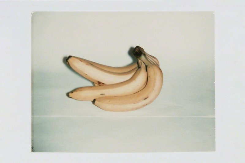 Andy Warhol Photography Survey Jack Shainman Gallery Bananas Flowers Eiffel Tower Chair Sneakers Polaroids Crabs