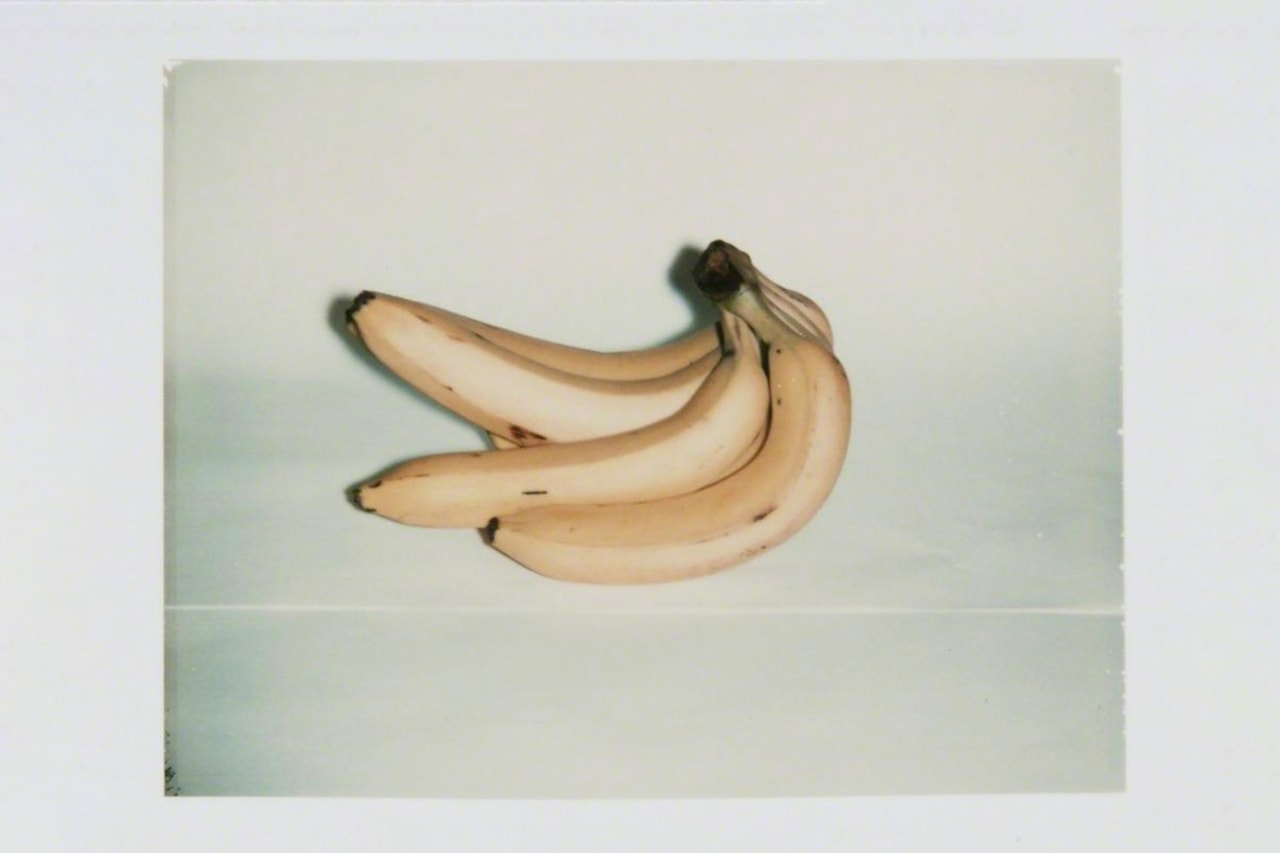 Andy Warhol Photography Survey Jack Shainman Gallery Bananas Flowers Eiffel Tower Chair Sneakers Polaroids Crabs