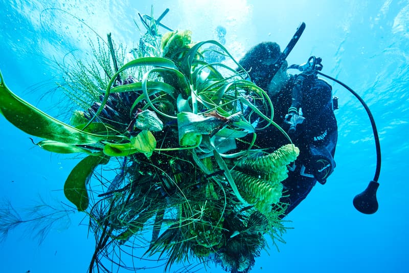 azuma makoto amkk flower and man photography series project installation performance
