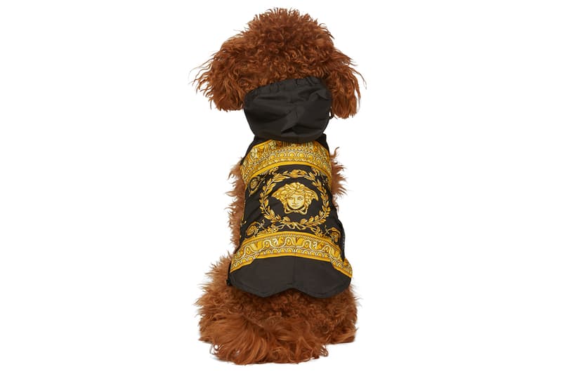 SSENSE Designer Dogwear Collection 032c Ashley Williams Burberry Heron Preston Marine Serre Moncler Genius Paul Smith Stutterheim Versace VIP pets ssenseinterns trend millennials