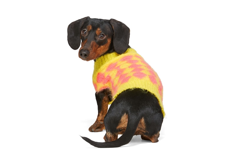 SSENSE Designer Dogwear Collection 032c Ashley Williams Burberry Heron Preston Marine Serre Moncler Genius Paul Smith Stutterheim Versace VIP pets ssenseinterns trend millennials