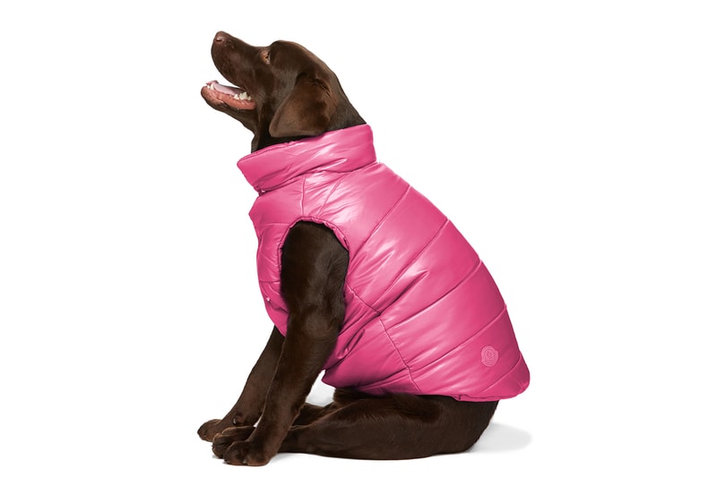 SSENSE Designer Dogwear Collection 032c Ashley Williams Burberry Heron Preston Marine Serre Moncler Genius Paul Smith Stutterheim Versace VIP pets ssenseinterns trend millennials
