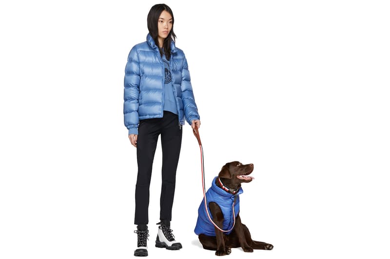 SSENSE Designer Dogwear Collection 032c Ashley Williams Burberry Heron Preston Marine Serre Moncler Genius Paul Smith Stutterheim Versace VIP pets ssenseinterns trend millennials