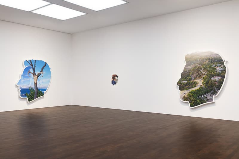 Alex Israel "Always On My Mind" Solo Exhibition Gagosian Gallery London Self-Portraits Los Angeles Fiberglass Panel Wheel of Fortune Mulholland Drive Griffith Observatory