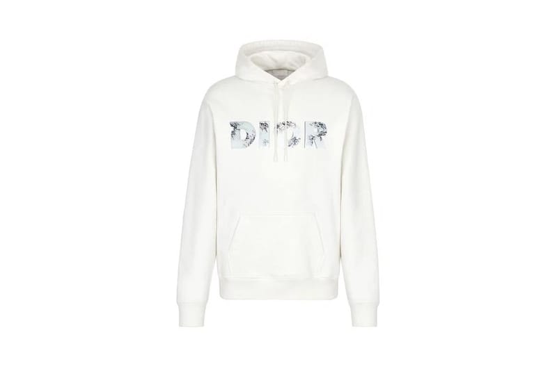 dior daniel arsham basketball hoodie