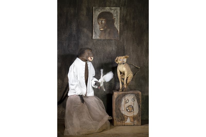 agnes b snap cardigan photography show william strobeck david lynch juergen teller