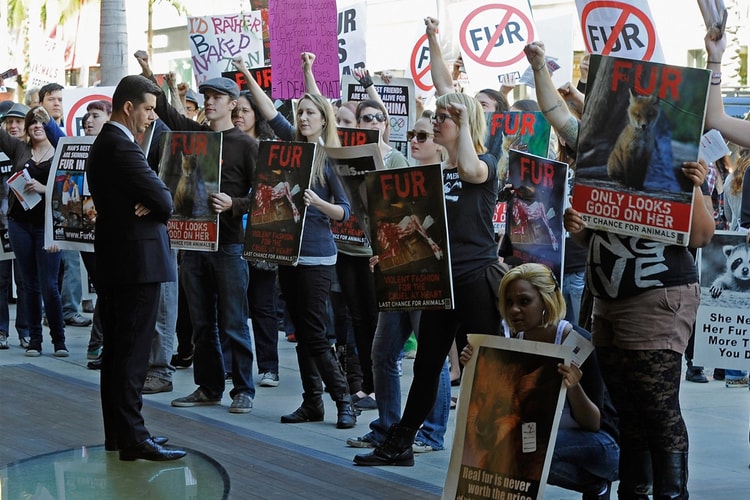 International Fur Federation Challenges San Francisco's Ban on Fur Sales as Unconstitutional