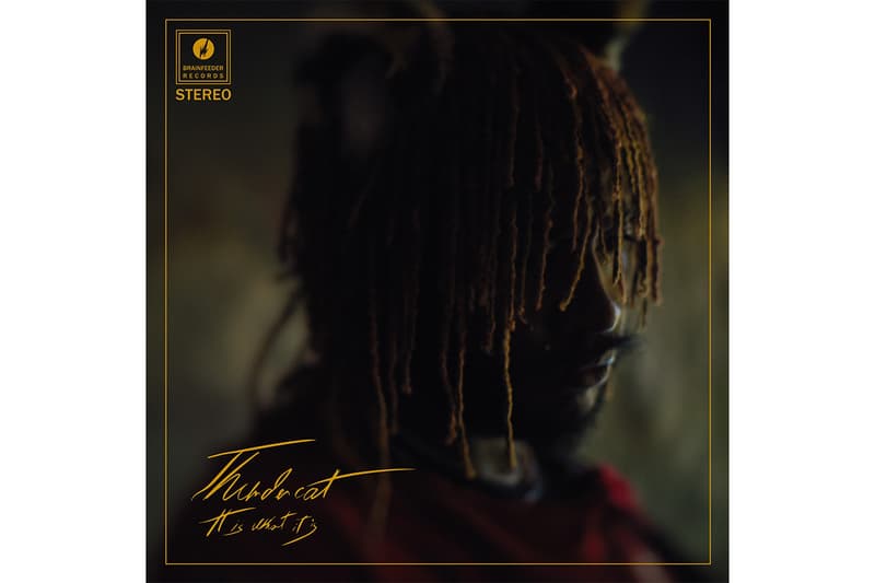 Thundercat It Is What It Is Album Announcement Black Qualls Steve Lacy Steve Arrington Single Stream flying lotus flylo Ty Dolla $ign Childish Gambino Lil B Kamasi Washington BADBADNOTGOOD Louis Cole Zack Fox