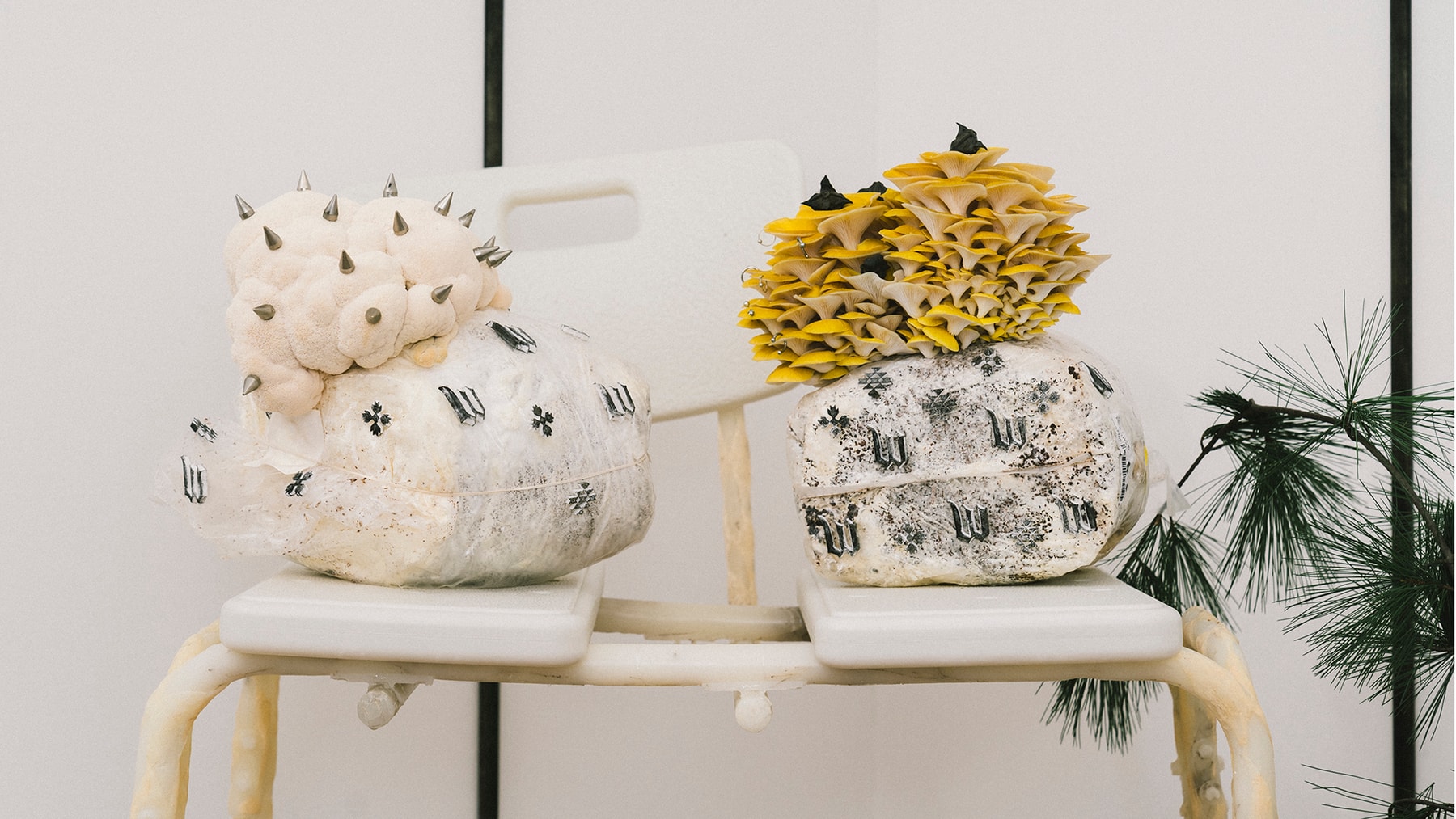 HYPEBEAST Ignition Wretched Flowers Interview