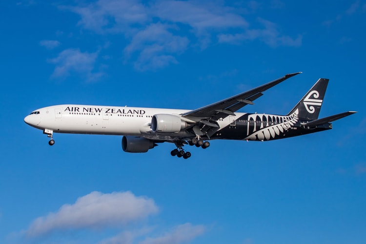 Air New Zealand Unveils Bunk Bed-Style Sleeping Pods for Economy Flyers