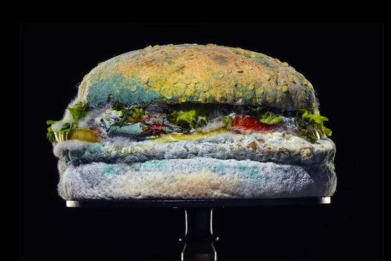 Burger King's Latest Ad Campaign Showcases a Moldy Whopper