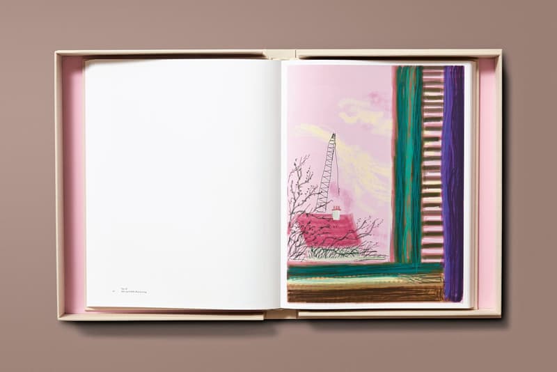 Taschen Books 'David Hockney. My Window' iPad iPhone Drawings Flowers Vases Plants Houses Window Yorkshire