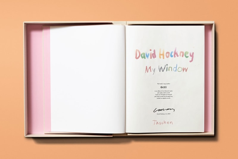 Taschen Books 'David Hockney. My Window' iPad iPhone Drawings Flowers Vases Plants Houses Window Yorkshire 