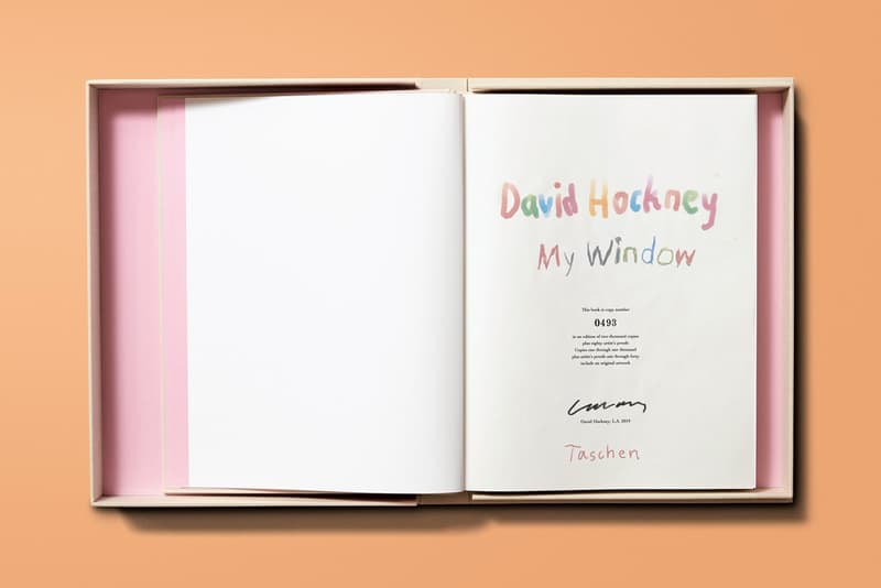 Taschen Books 'David Hockney. My Window' iPad iPhone Drawings Flowers Vases Plants Houses Window Yorkshire