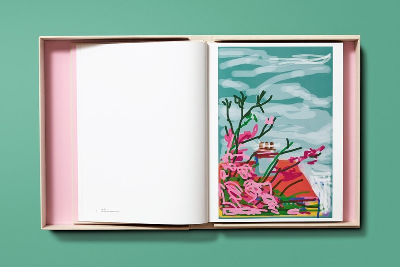 Taschen Books 'David Hockney. My Window' iPad iPhone Drawings Flowers Vases Plants Houses Window Yorkshire 