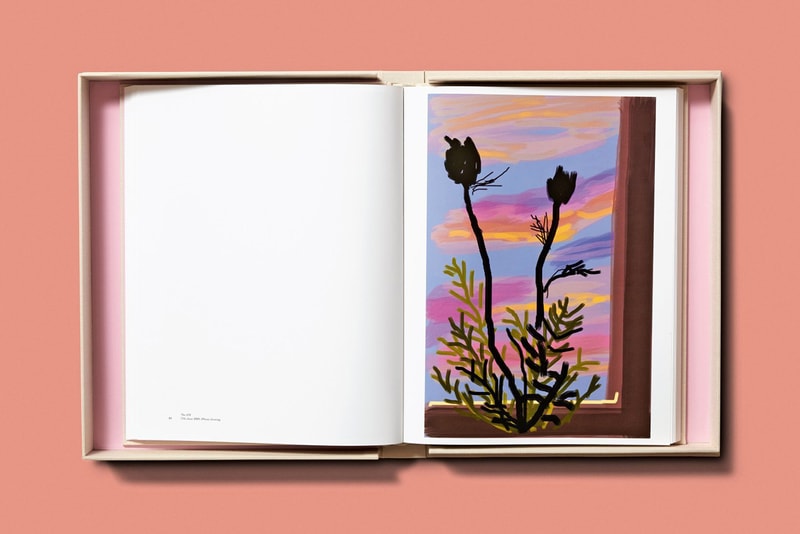 Taschen Books 'David Hockney. My Window' iPad iPhone Drawings Flowers Vases Plants Houses Window Yorkshire 