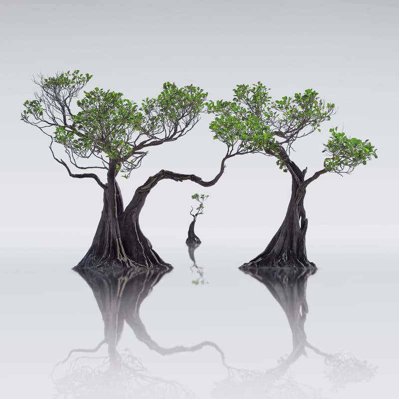 international landscape photographer of the year winning photos photography photographers visuals pics landscape contemporary fine art