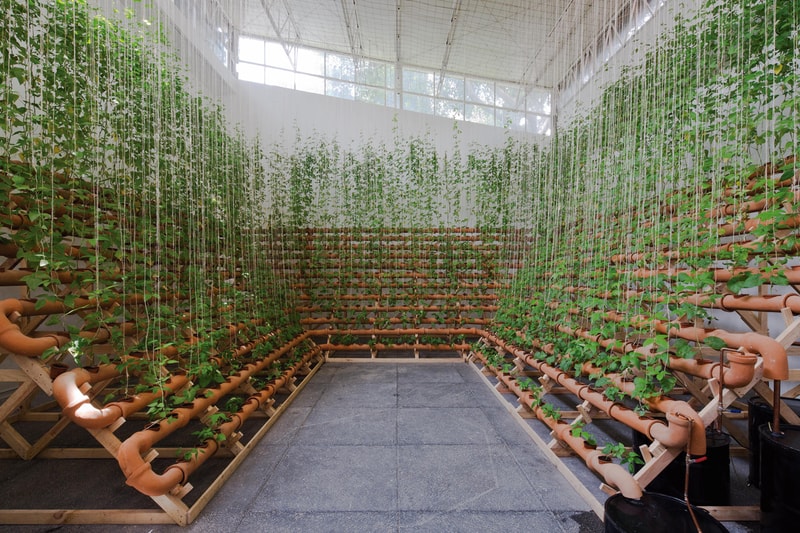 bienal de sao paulo solo exhibitions deanna lawson ximena garrido lecca neo muyanga leon ferrari 