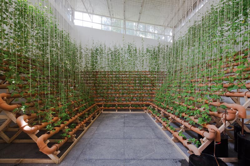 bienal de sao paulo solo exhibitions deanna lawson ximena garrido lecca neo muyanga leon ferrari