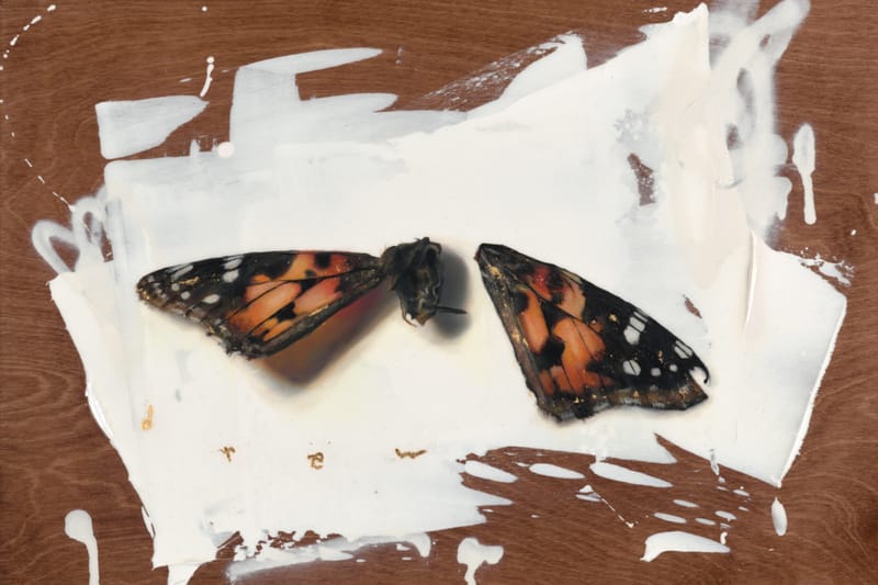 Thinkspace to Display Works by Over 100 Artists in Upcoming Exhibition