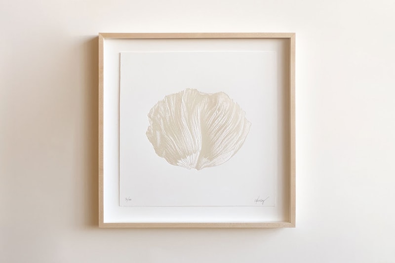 CJ Hendry Limited Edition "EPILOGUE" Petal Etchings Poppy Hibiscus White Pearl Color Heat Press Print