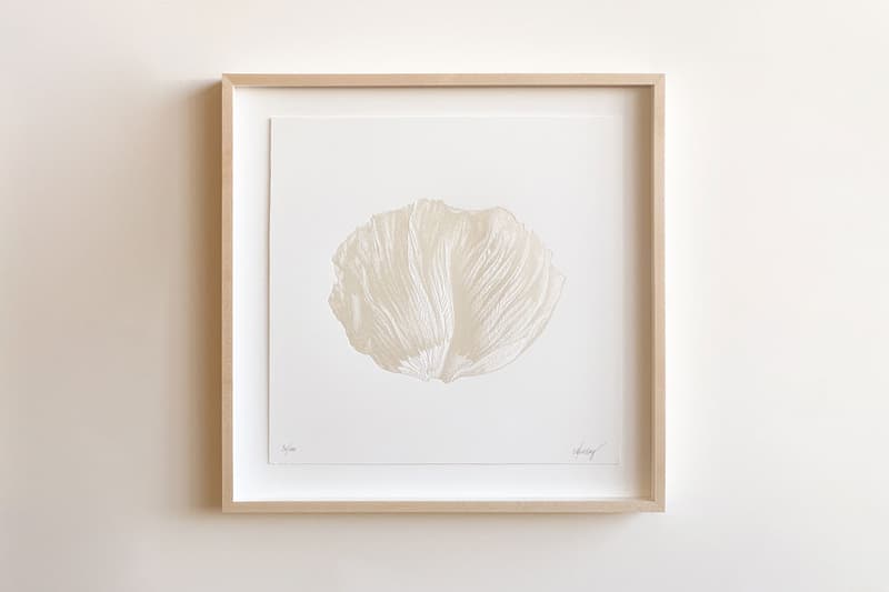 CJ Hendry Limited Edition "EPILOGUE" Petal Etchings Poppy Hibiscus White Pearl Color Heat Press Print