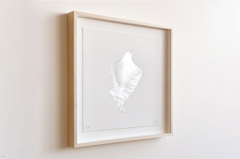 CJ Hendry Limited Edition "EPILOGUE" Petal Etchings Poppy Hibiscus White Pearl Color Heat Press Print