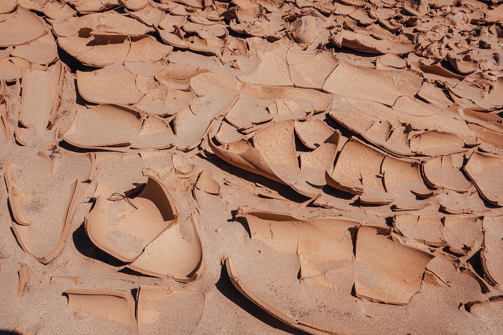 New Land Rover Defender in Namibia James Bond 2020 007 Africa South Africa Desert off-roading awd adventure