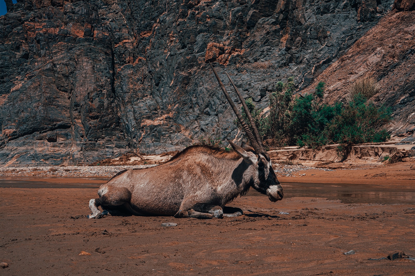 New Land Rover Defender in Namibia James Bond 2020 007 Africa South Africa Desert off-roading awd adventure 