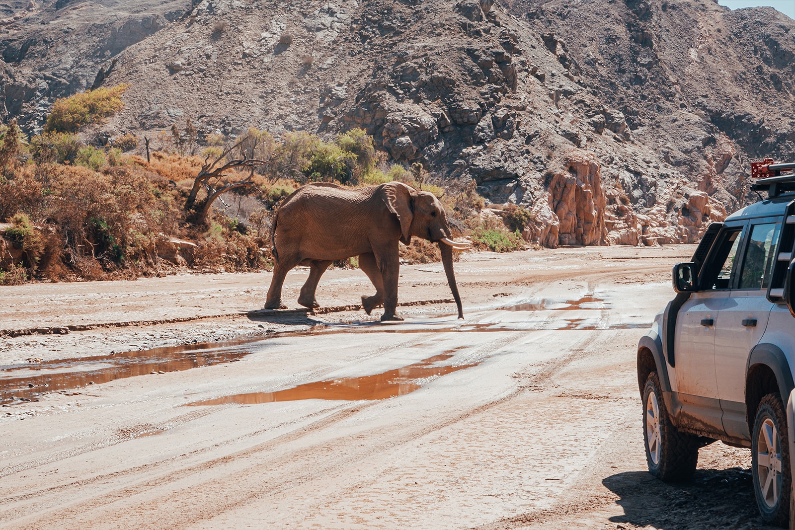 New Land Rover Defender in Namibia James Bond 2020 007 Africa South Africa Desert off-roading awd adventure 