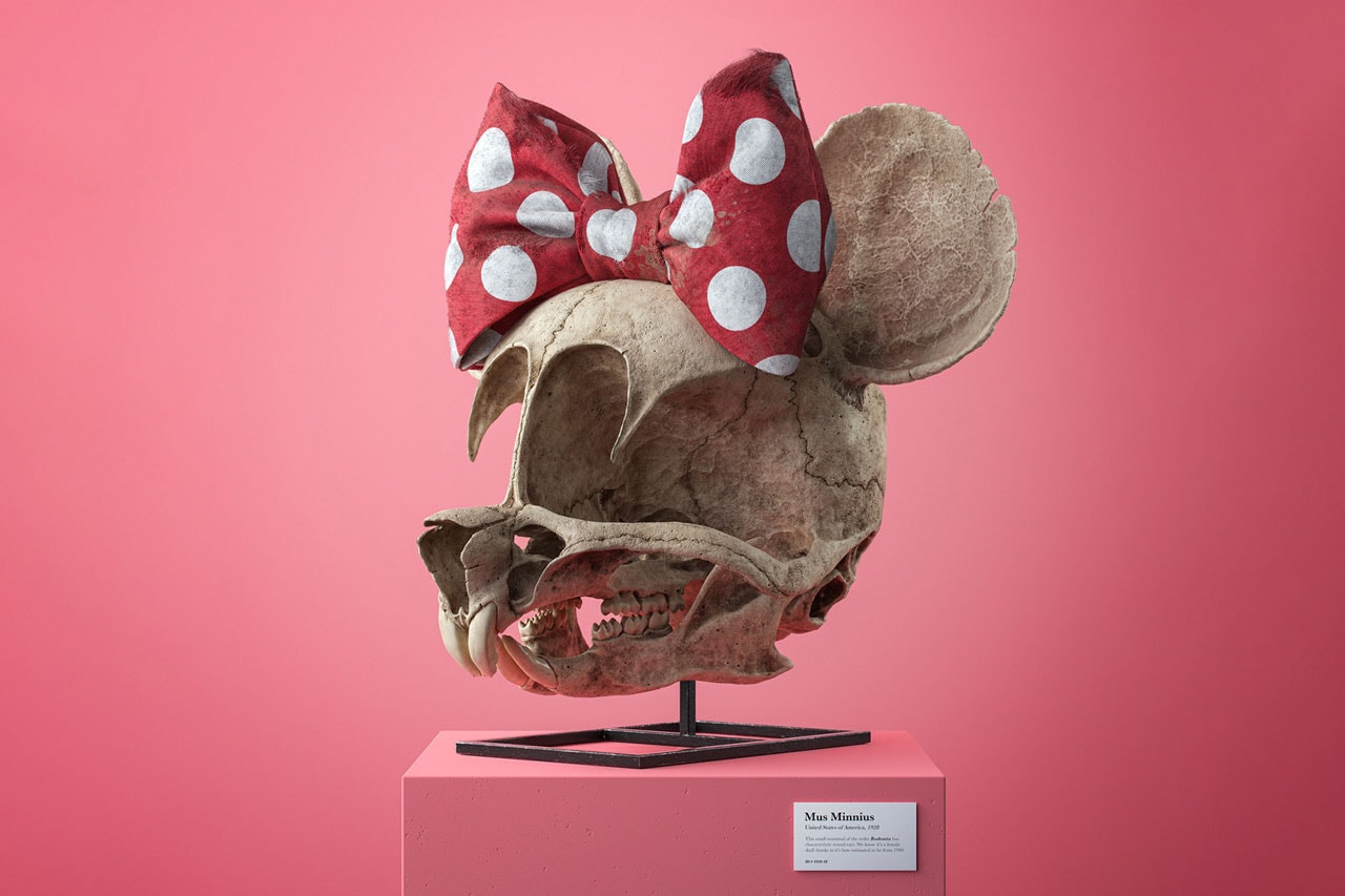 Filip Hodas Cartoon Fossil Skull Series Canis Goofus Anas Scroogius Spongia Bobae Homo Popoculis Mus Minnius Canaria Tweetea CG 3D Illustration