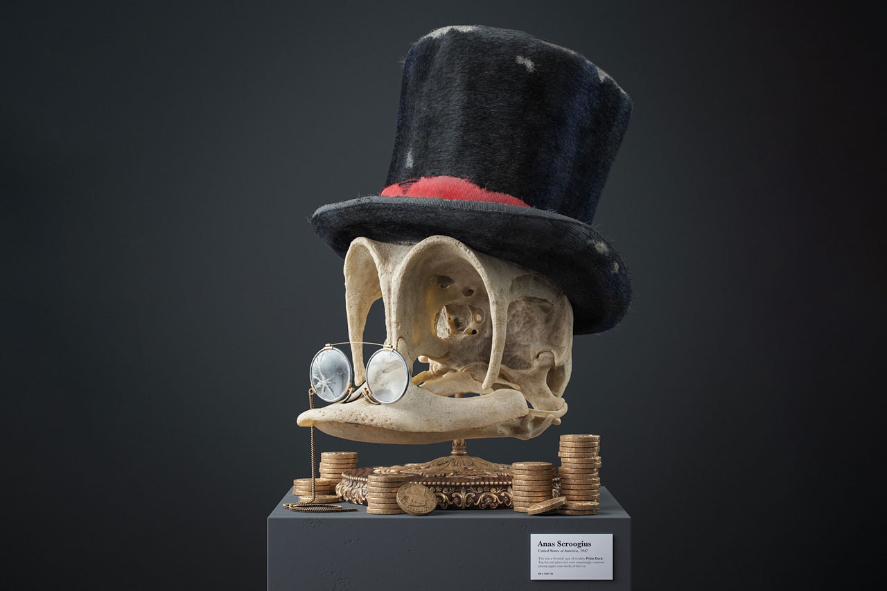 Filip Hodas Cartoon Fossil Skull Series Canis Goofus Anas Scroogius Spongia Bobae Homo Popoculis Mus Minnius Canaria Tweetea CG 3D Illustration