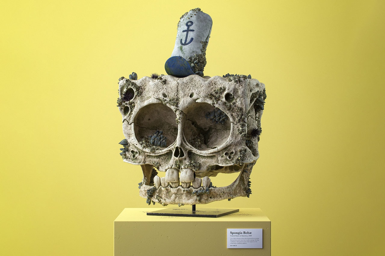 Filip Hodas Cartoon Fossil Skull Series Canis Goofus Anas Scroogius Spongia Bobae Homo Popoculis Mus Minnius Canaria Tweetea CG 3D Illustration