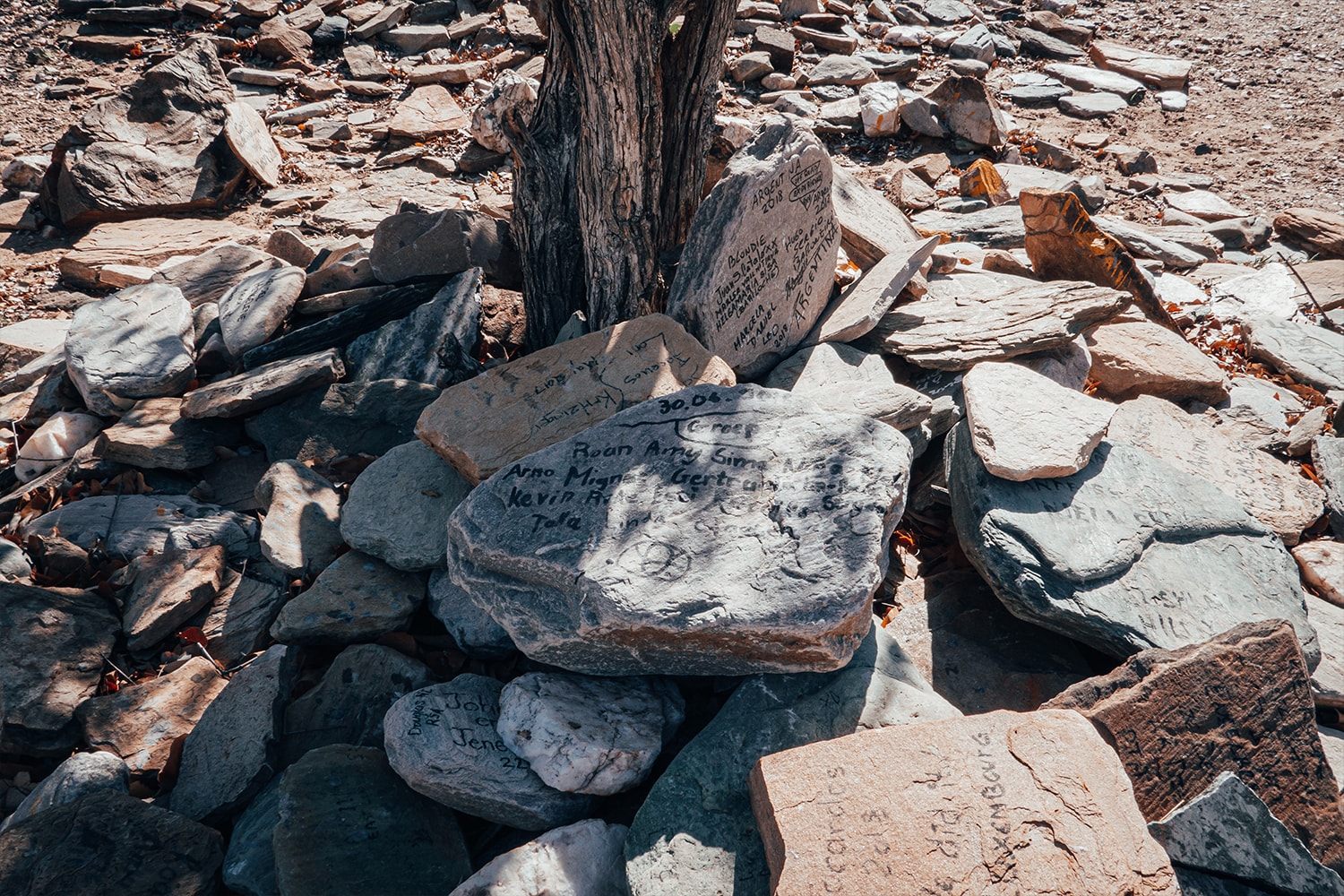 New Land Rover Defender in Namibia James Bond 2020 007 Africa South Africa Desert off-roading awd adventure 
