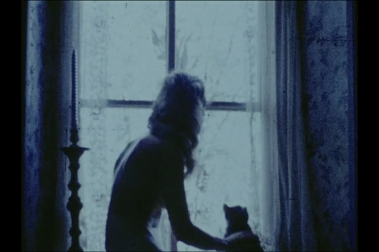 P.P.O.W. Gallery Online Film Exhibition "Hell is a Place on Earth. Heaven is a Place in Your Head" David Wojnarowicz Carolee Schneemann  Hunter Reynolds Guadalupe Maravilla Suzanne Treister