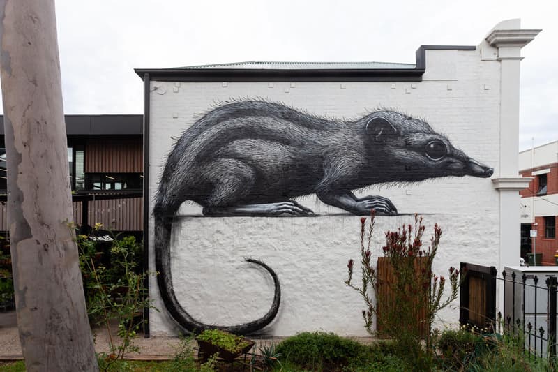 roa annihilation exhibition backwoods gallery artworks paintings