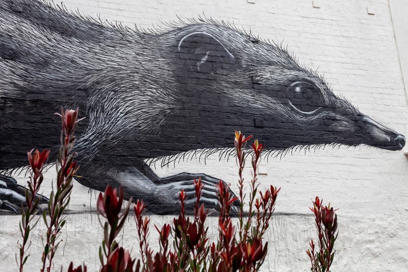 roa annihilation exhibition backwoods gallery artworks paintings