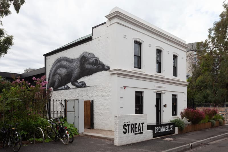 roa annihilation exhibition backwoods gallery artworks paintings