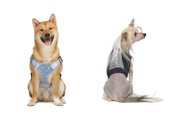 SSENSE Drops Latest Dogwear Capsule Featuring 1017 ALYX 9SM, Martine Ali