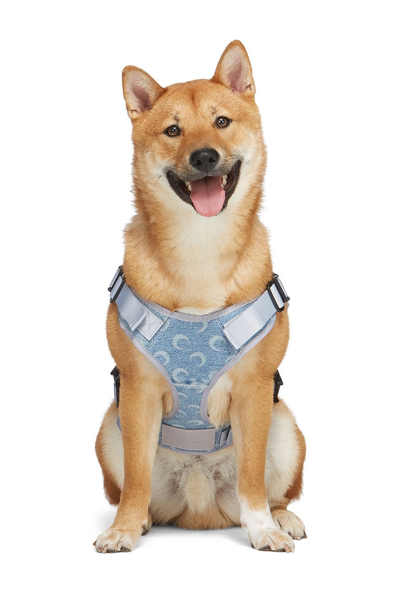 ssense dogwear luxury collaboration collection 1017 alyx 9sm leash marine serre harness martine ali collar collars shirt 