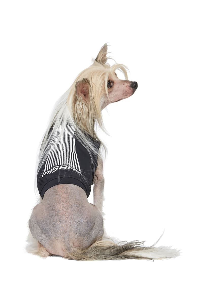 ssense dogwear luxury collaboration collection 1017 alyx 9sm leash marine serre harness martine ali collar collars shirt