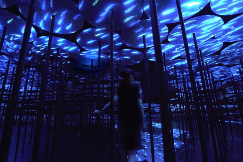 teamlab borderless shanghai museum installation immersive art coronavirus outbreak covid