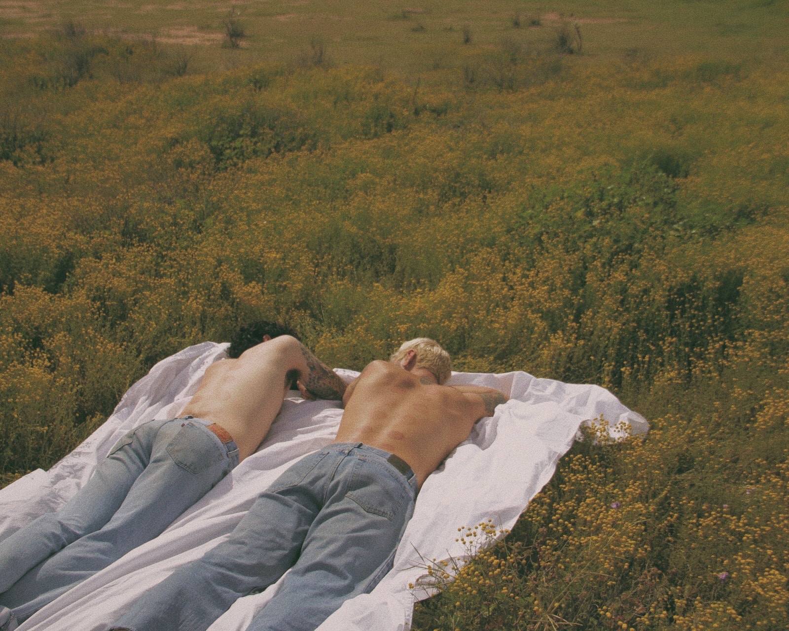 Mount Sunny Cupping Marks Stagnation Health