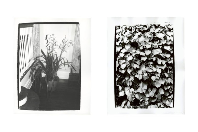 Andy Warhol Foundation & Christie's Auction Emergency Relief Artists COVID-19 Photographs "Andy Warhol: Better Days" Archie Tulips Self-Portrait Andy Warhol 