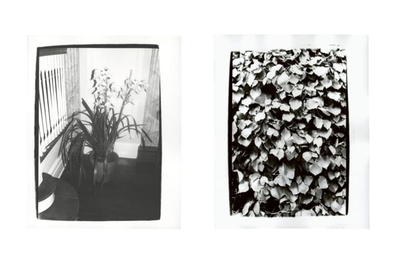 Andy Warhol Foundation & Christie's Auction Emergency Relief Artists COVID-19 Photographs "Andy Warhol: Better Days" Archie Tulips Self-Portrait Andy Warhol