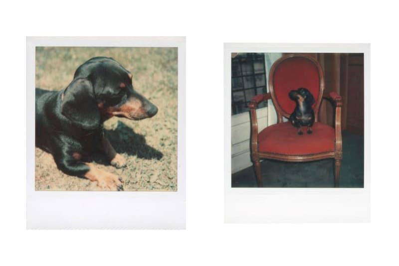 Andy Warhol Foundation & Christie's Auction Emergency Relief Artists COVID-19 Photographs "Andy Warhol: Better Days" Archie Tulips Self-Portrait Andy Warhol