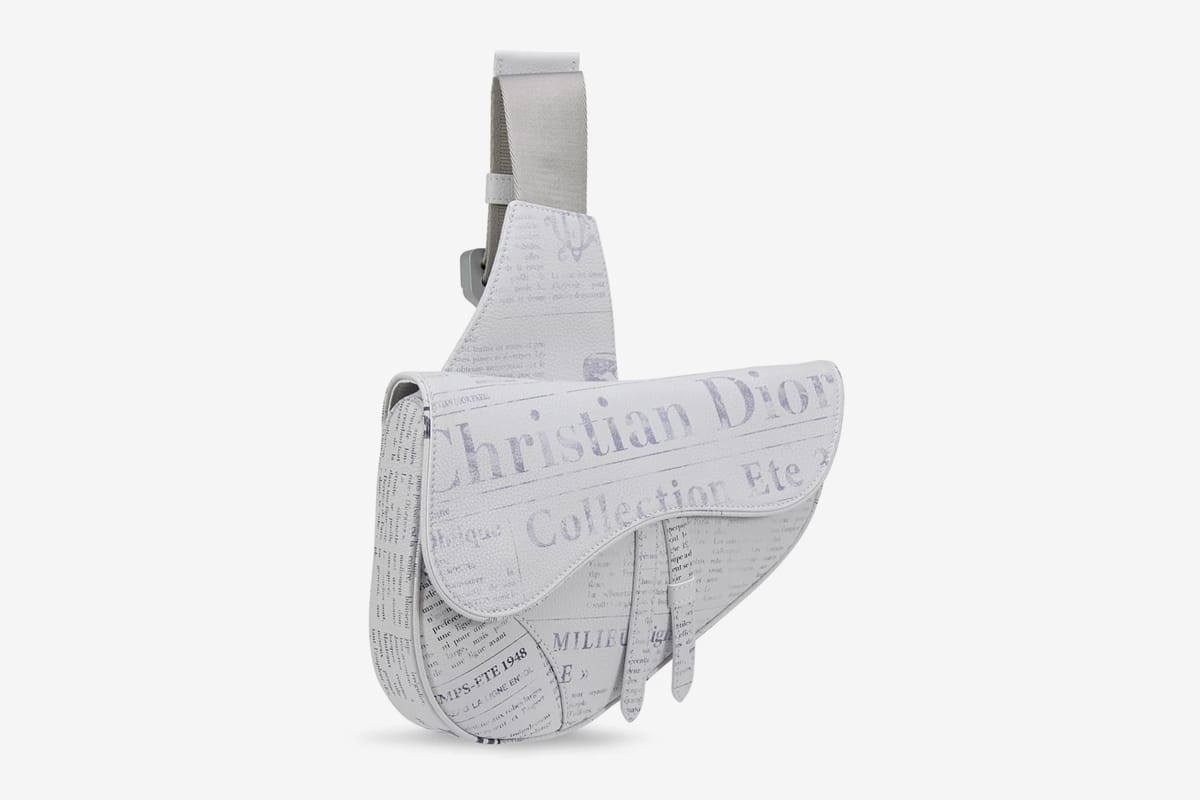 dior saddle bag newspaper