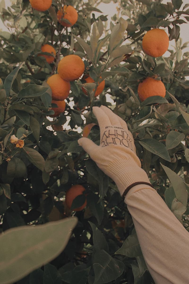 Mount Sunny Gardening Club Earth Day Collection Release Info Buy Price T shirt short long sleeve bucket gloves seeds