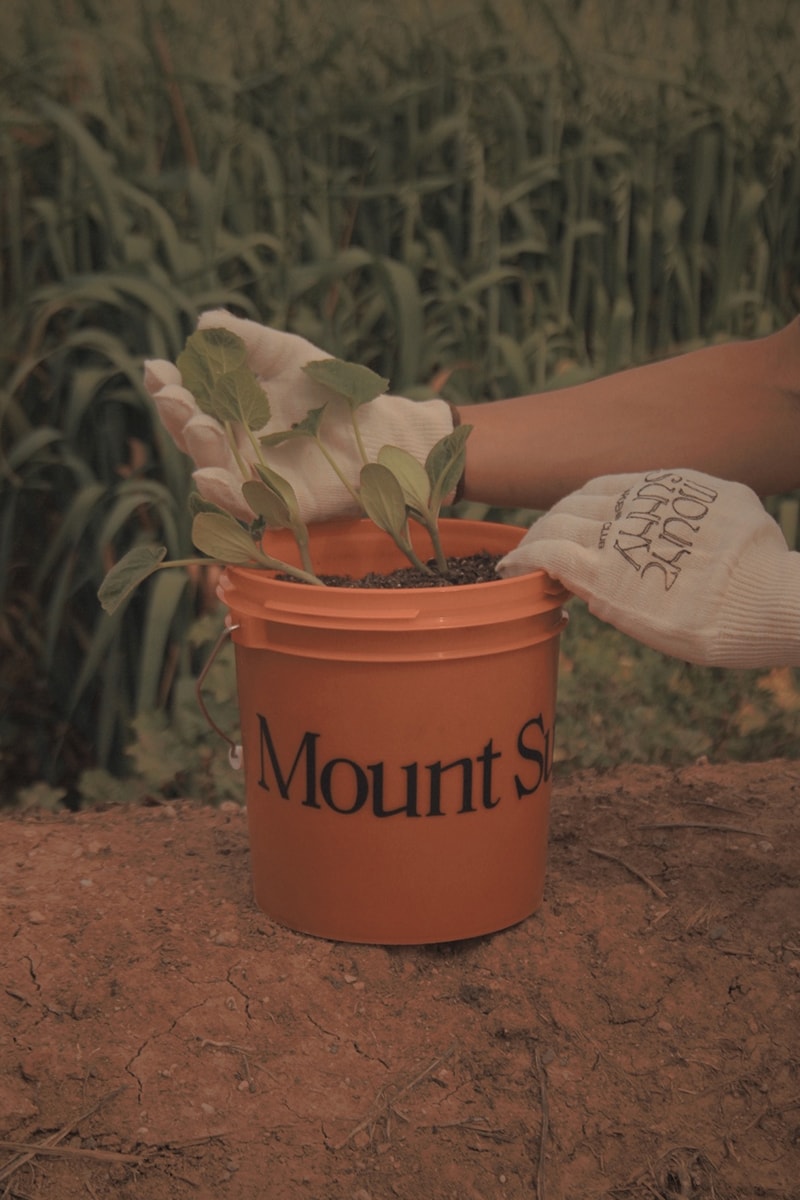 Mount Sunny Gardening Club Earth Day Collection Release Info Buy Price T shirt short long sleeve bucket gloves seeds